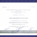 Ampliar imagen: certificate 11