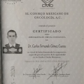 Ampliar imagen: certificate 1