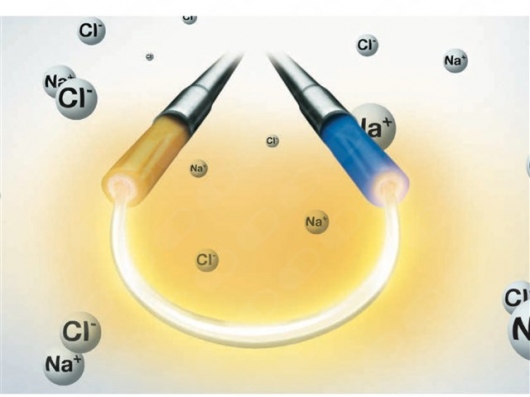 Abner Gonzalez Cortes-1