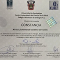 Ampliar imagen: certificate 5