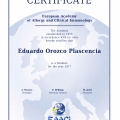 Ampliar imagen: certificate 5