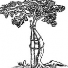 Dr. Carlos Iván Andrade Aguilar