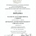 Ampliar imagen: certificate 15