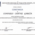 Ampliar imagen: certificate 15