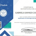 Ampliar imagen: certificate 8