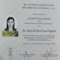 Ampliar imagen: certificate 3