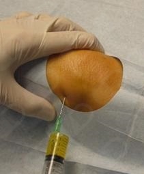 Angel Manuel Piña Jaén-1