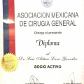 Ampliar imagen: certificate 8