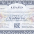 Ampliar imagen: certificate 1