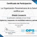 Ampliar imagen: certificate 5