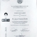 Ampliar imagen: certificate 1