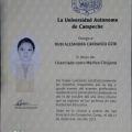 Ampliar imagen: certificate 4