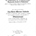 Ampliar imagen: certificate 10