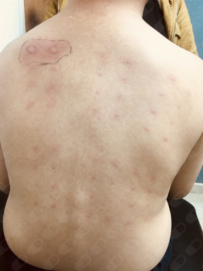 Carlos Gerardo Zuñiga Lagunes-42