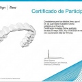 Ampliar imagen: certificate 17