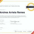 Ampliar imagen: certificate 3