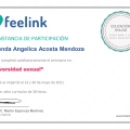 Ampliar imagen: certificate 8