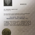 Ampliar imagen: certificate 9