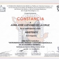 Ampliar imagen: certificate 14