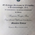Ampliar imagen: certificate 8