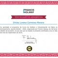 Ampliar imagen: certificate 7