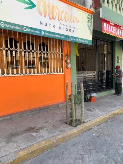 Mercedes Pérez Solorza-3