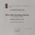 Ampliar imagen: certificate 9