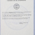 Ampliar imagen: certificate 7