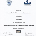Ampliar imagen: certificate 13