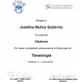 Ampliar imagen: certificate 9