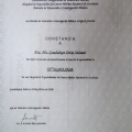 Ampliar imagen: certificate 9
