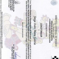 Ampliar imagen: certificate 2