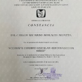 Ampliar imagen: certificate 8