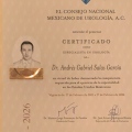 Ampliar imagen: certificate 3