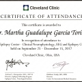 Ampliar imagen: certificate 25