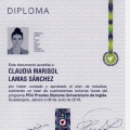 Ampliar imagen: certificate 9