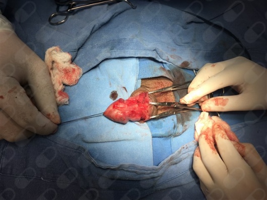 Ma Josefina Morin Rangel-3