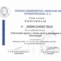Ampliar imagen: certificate 16