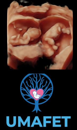 Alejandro Gaspar Vera-2