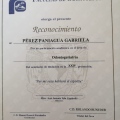 Ampliar imagen: certificate 5