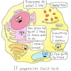 Dr. Erick Adrian Zamora Tehozol