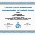 Ampliar imagen: certificate 6