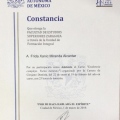 Ampliar imagen: certificate 5