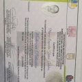 Ampliar imagen: certificate 4