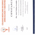 Ampliar imagen: certificate 9