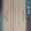 Ampliar imagen: certificate 3