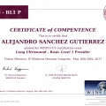 Ampliar imagen: certificate 15