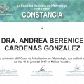 Ampliar imagen: certificate 6