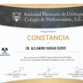 Ampliar imagen: certificate 5