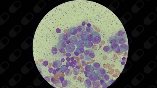 Noé Benjamín Vega Tapia-7